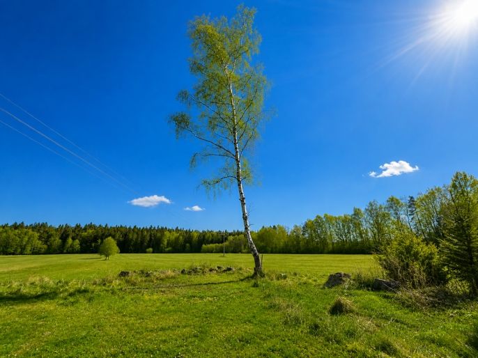 Prodej, Chalupa, Benešov nad Černou