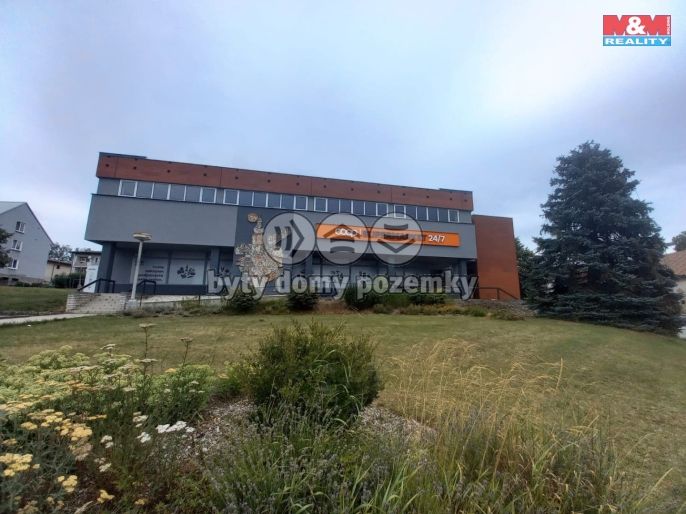 Pronájem, Obchod a služby, Radomyšl