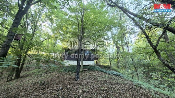 Prodej, Chata, Zbečno