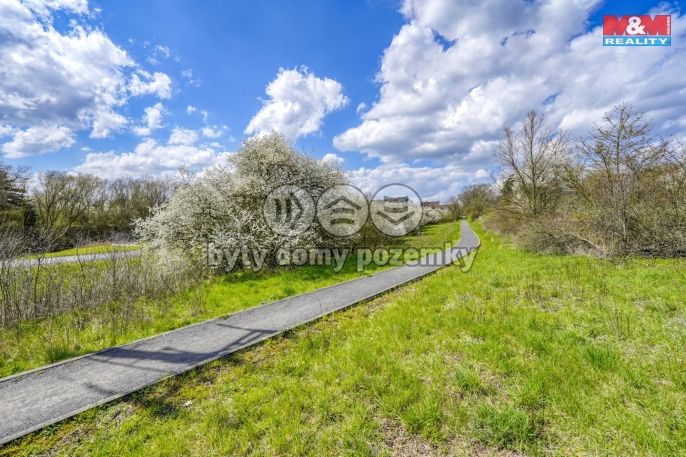 Prodej, Zahrada, Čistá