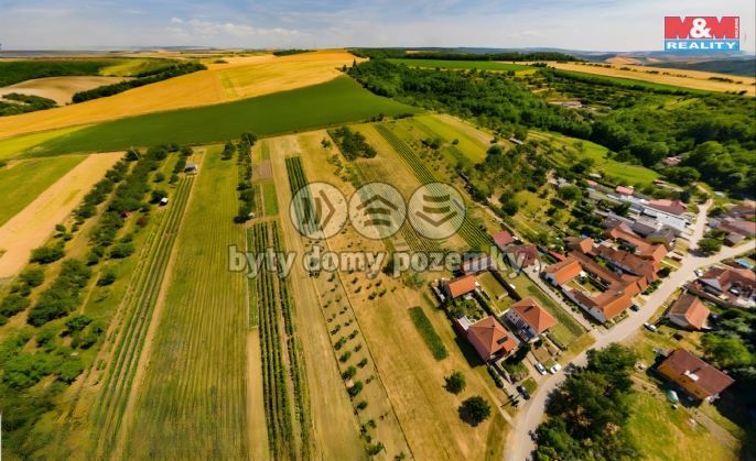 Prodej, Pozemek k bydlení, Borkovany