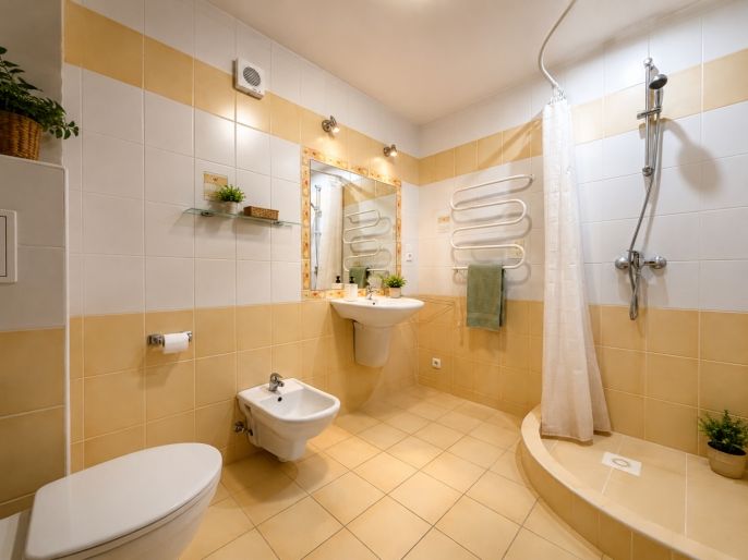 Prodej, Hotel, penzion, Nová Pec