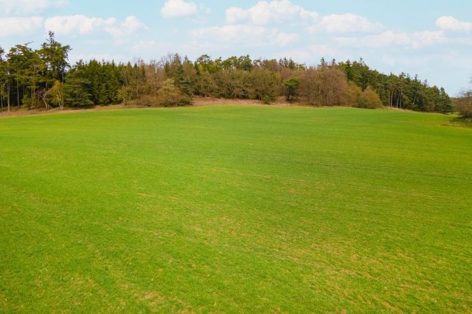 Prodej, Pole, Buková u Příbramě