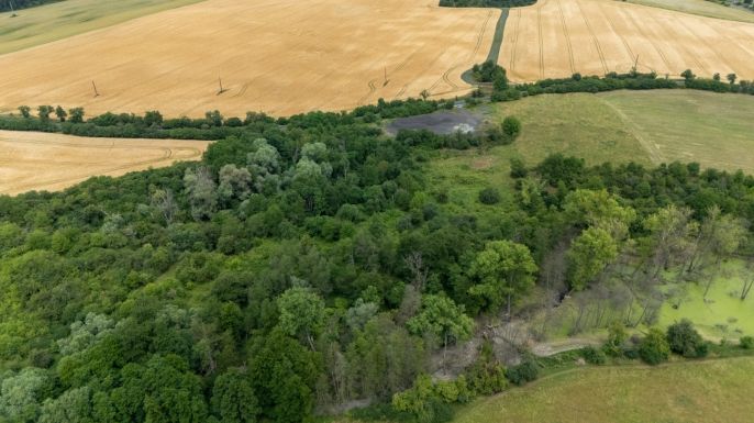 Prodej, Louka, Chabařovice