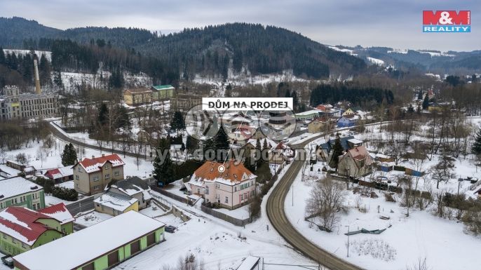 Prodej, Hotel, penzion, Velké Hamry