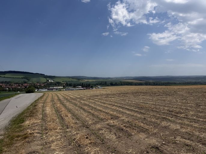 Prodej, Pole, Lysice