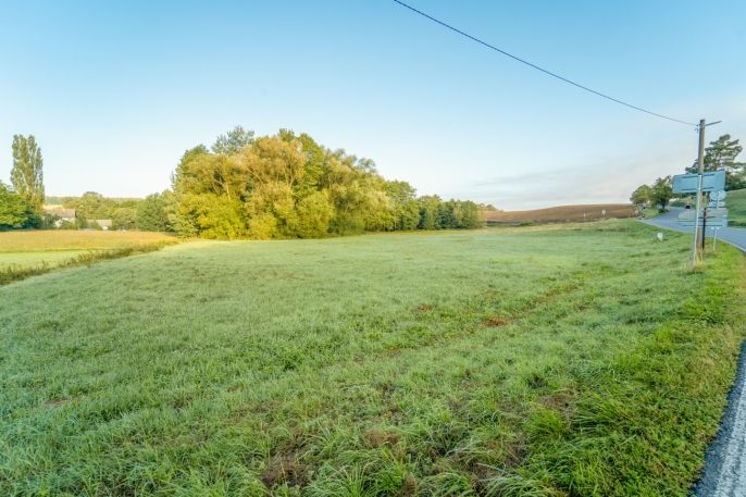 Prodej, Louka, Příkosice