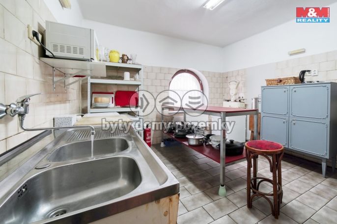 Prodej, Hotel, penzion, Dolní Žandov