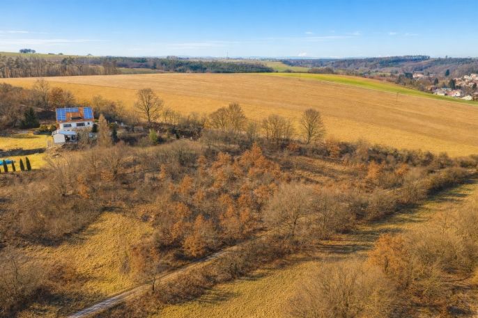 Prodej, Zahrada, Mrzky