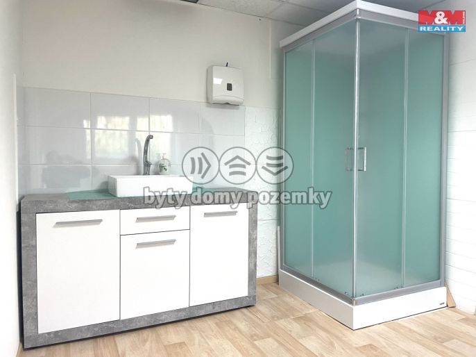 Pronájem, Ostatní, Most