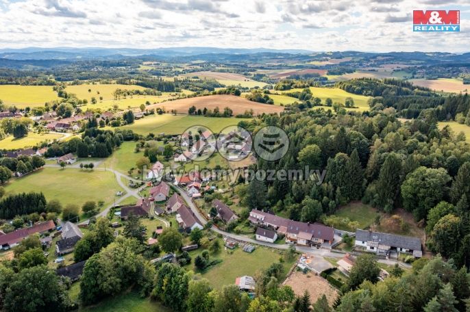 Prodej, Rodinný dům, Plánice