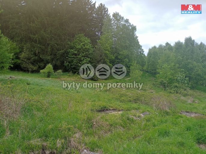 Prodej, Louka, Kořenov