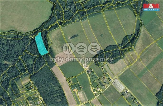 Prodej, Les, Český Těšín