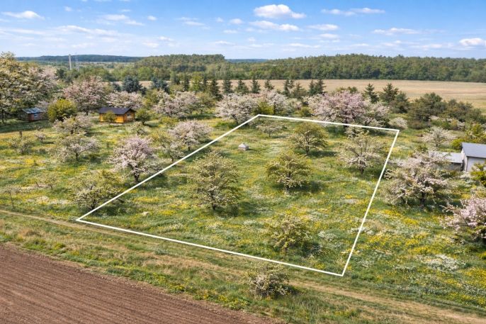 Prodej, Pozemek k bydlení, Husinec