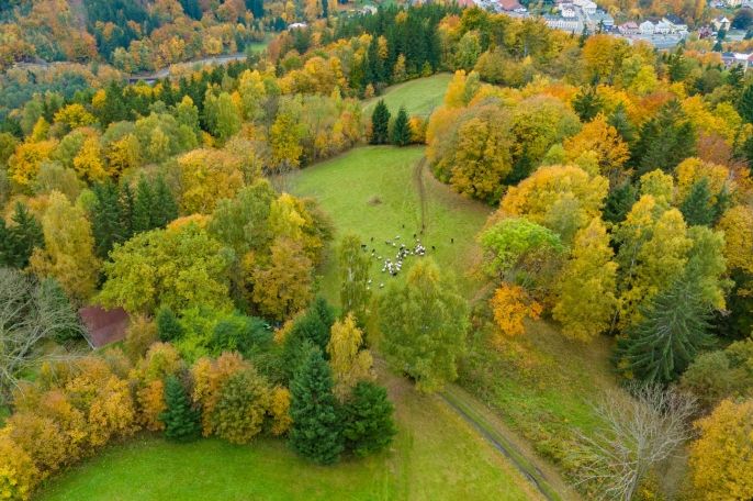 Prodej, Louka, Tanvald