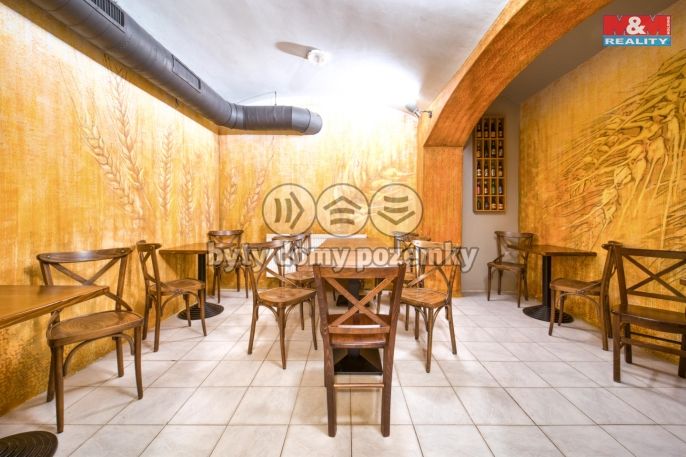 Pronájem, Obchod a služby, Plzeň