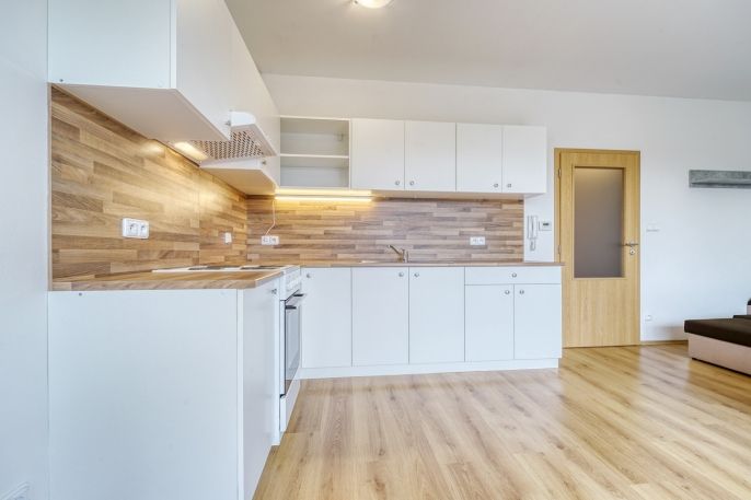 Pronájem, Byt 1+kk, Plasy