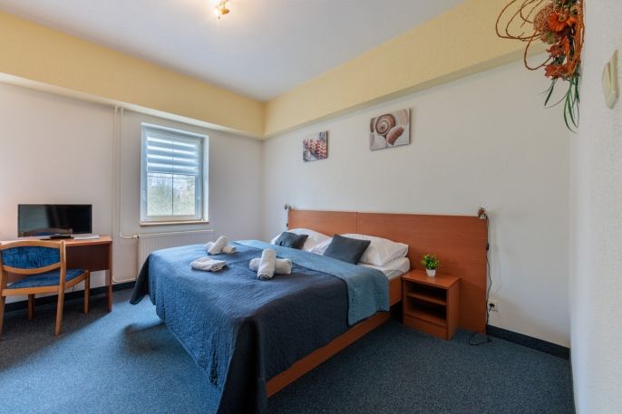 Prodej, Hotel, penzion, Chodov