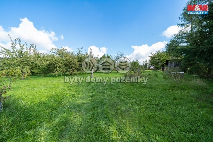 Pronájem, Zahrada, Letkov