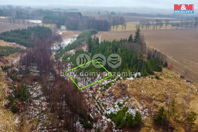 Prodej, Les, Česká Bělá