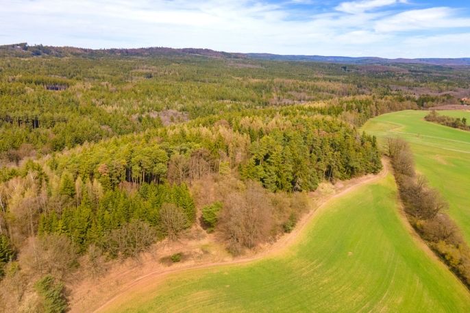 Prodej, Pole, Buková u Příbramě