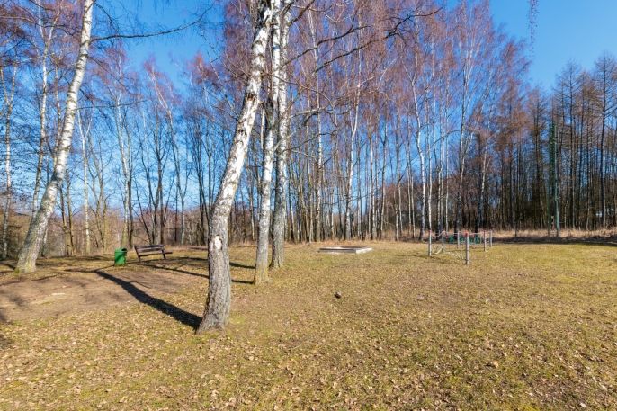 Pronájem, Byt 2+1, Horní Slavkov