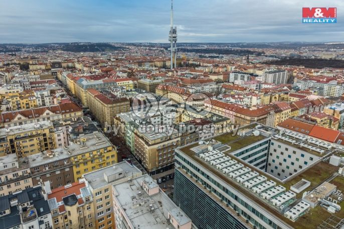 Prodej, Byt 1+kk, Praha