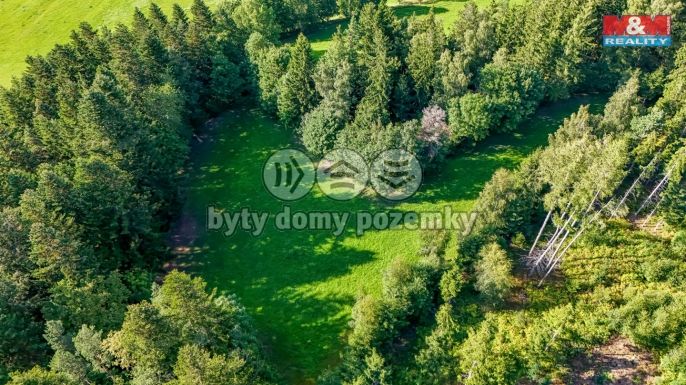 Prodej, Les, Petrovice u Sušice