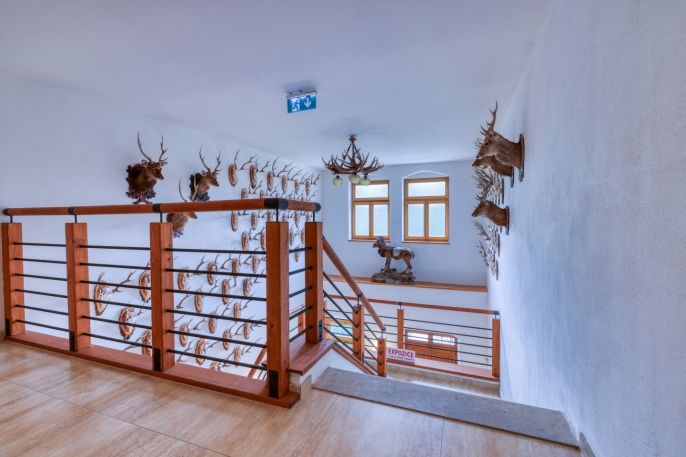 Prodej, Historický objekt, Manětín