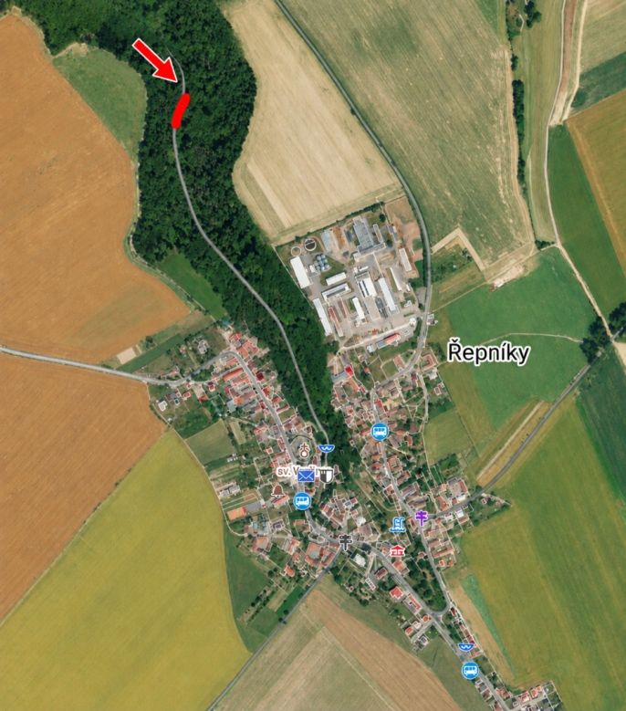 Prodej, Les, Řepníky