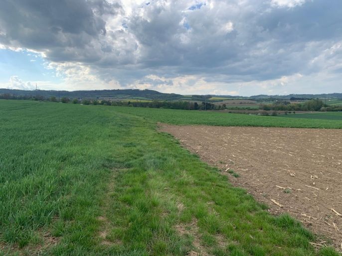 Prodej, Pole, Voděrady