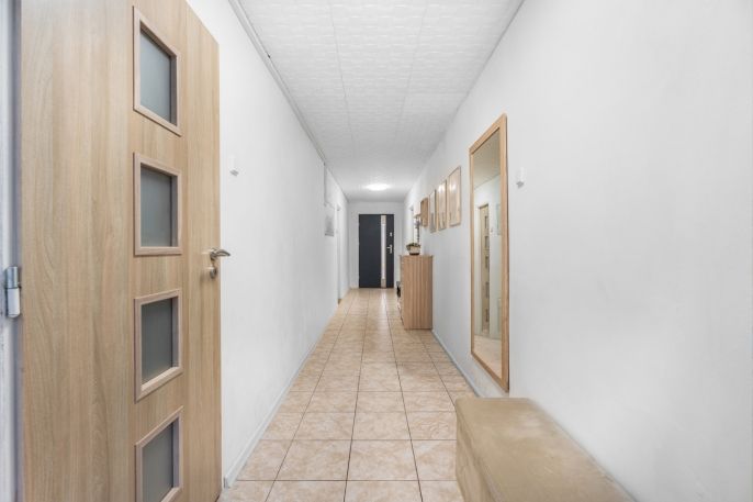 Prodej, Rodinný dům, Bříza