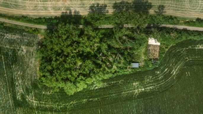 Prodej, Les, Libochovice
