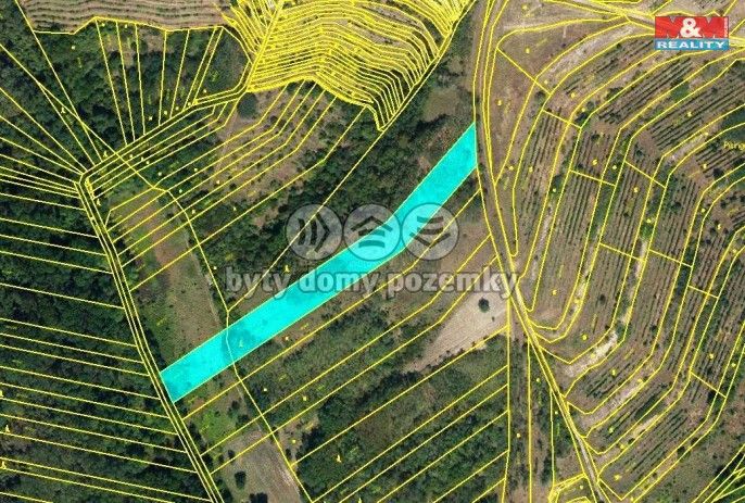 Prodej, Les, Hustopeče