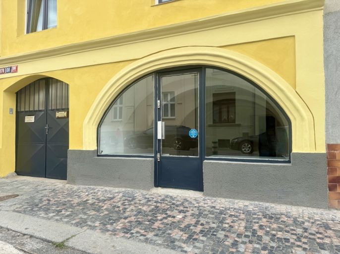 Pronájem, Obchod a služby, Slaný