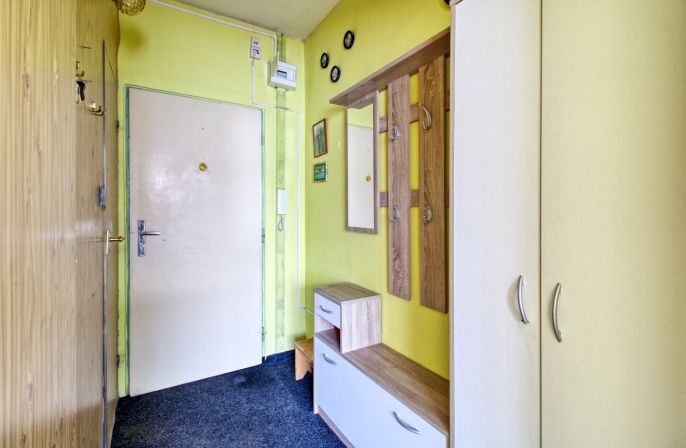 Prodej, Byt 1+1, Litvínov