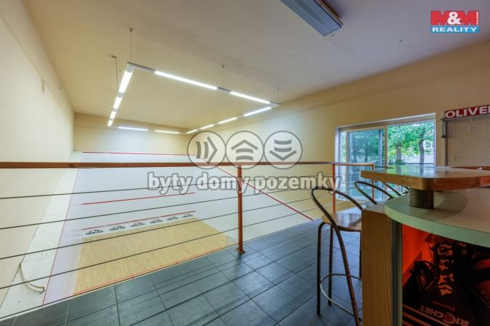 Prodej, Ostatní, Karlovy Vary