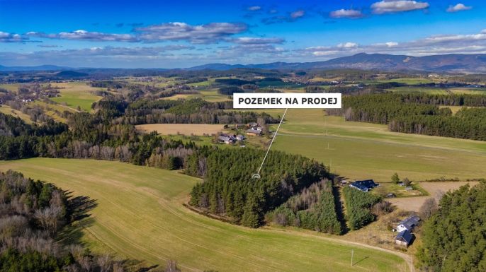 Prodej, Les, Všelibice