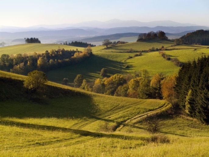 Prodej, Pozemek k bydlení, Božanov