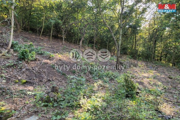 Prodej, Pozemek k bydlení, Bílina