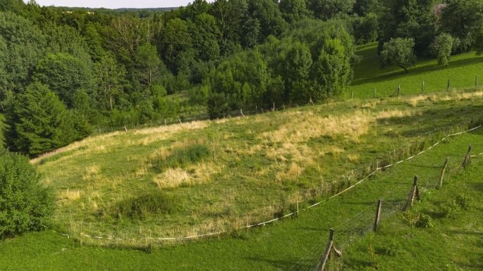 Prodej, Pozemek k bydlení, Javornice