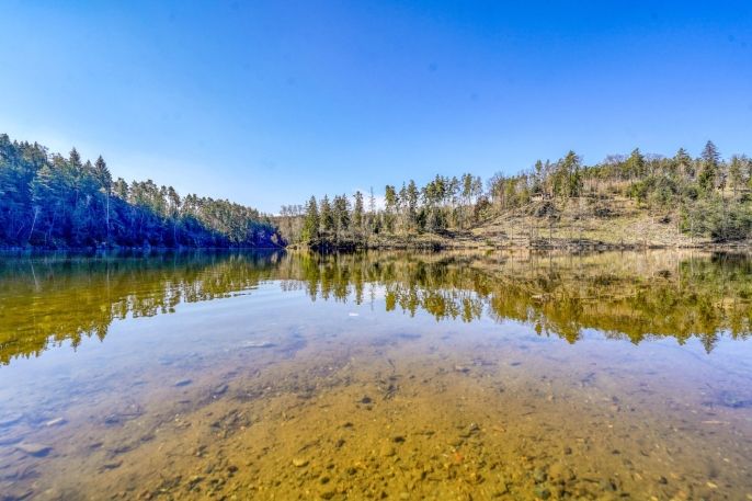Prodej, Chata, Čerňovice
