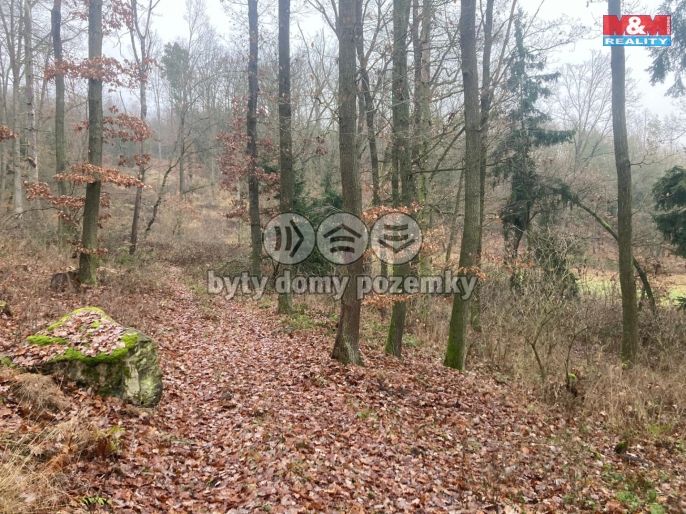 Prodej, Les, Krašlovice