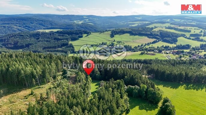 Prodej, Les, Petrovice u Sušice