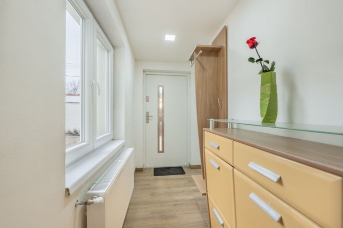 Pronájem, Rodinný dům, Hospozín