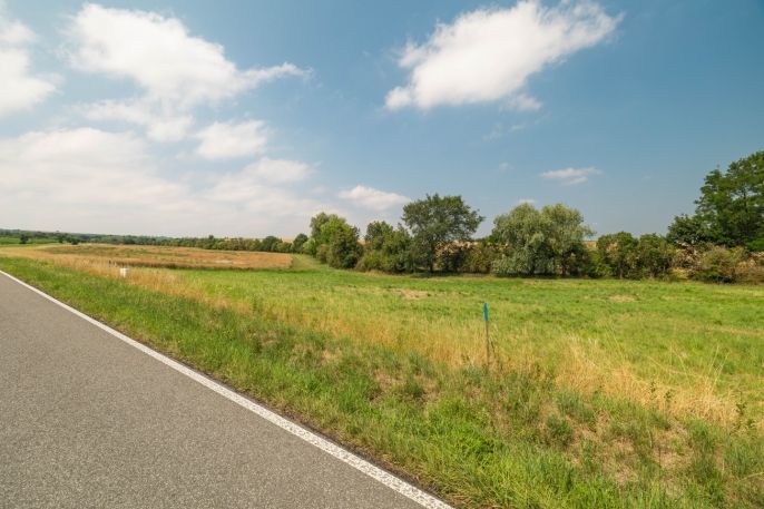 Prodej, Pozemek k bydlení, Libenice