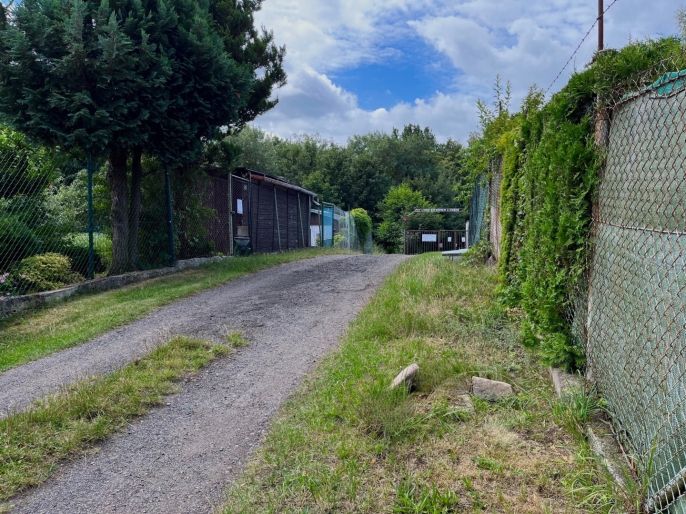 Prodej, Zahrada, Litvínov