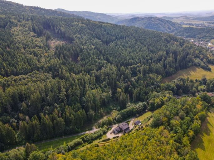 Prodej, Rodinný dům, Oskava