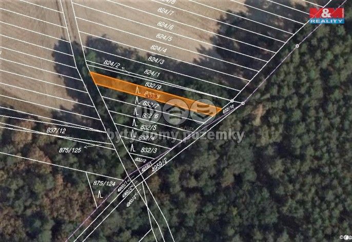 Prodej, Les, Skoronice