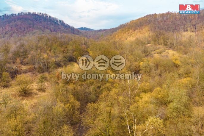 Prodej, Ostatní, Ústí nad Labem